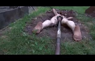 A puta da mãe na mesa os melhores porno brasileiro da cozinha! TENHO DE O VER!!