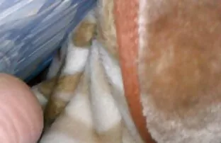 Um corte apertado de eu quero os melhores vídeos de pornô uma cona jovem abalroada