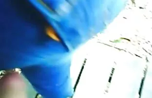 Dois tipos a limpar vídeo de pornô só os melhores a avó.